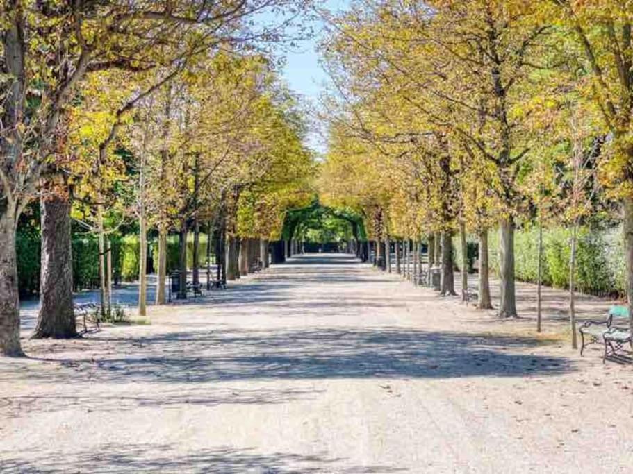 Center Apt In Best Area Near Park & Danube 20'To Airport Appartement Wenen Buitenkant foto